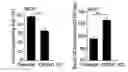 Fig. 01 - Therapeutic cationic peptides and unimolecular nanoparticles for efficient delivery thereof