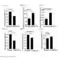 Fig. 02 - Therapeutic cationic peptides and unimolecular nanoparticles for efficient delivery thereof