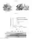 Fig. 08 - Therapeutic cationic peptides and unimolecular nanoparticles for efficient delivery thereof