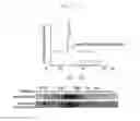 Fig. 09 - Therapeutic cationic peptides and unimolecular nanoparticles for efficient delivery thereof