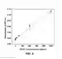 Fig. 07 - ENZYME RESPONSIVE NANOCAPSULES FOR PROTEIN DELIVERY