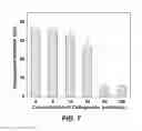 Fig. 08 - ENZYME RESPONSIVE NANOCAPSULES FOR PROTEIN DELIVERY