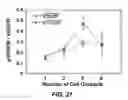 Fig. 22 - ENZYME RESPONSIVE NANOCAPSULES FOR PROTEIN DELIVERY
