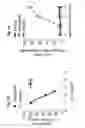 Fig. 02 - Sigma receptor ligands and methods of modulating cellular protein homeostasis using same