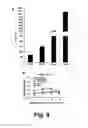 Fig. 09 - ENHANCING BETA CELL REPLICATION AND/OR SURVIVAL