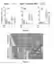 Fig. 09 - Formulation and treatment methods