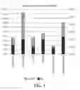 Fig. 06 - GLYCAN COMPOSITIONS AND USES THEREOF