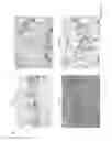 Fig. 05 - Compositions and methods for treating graft versus host disease