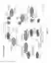 Fig. 06 - Dynamically-adaptive live therapeutic agents and methods of use thereof