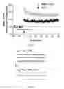 Fig. 02 - Reelin rescues cognitive function