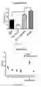 Fig. 07 - Reelin rescues cognitive function