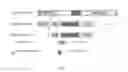 Fig. 02 - Isoform Nell-1 peptide