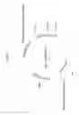 Fig. 02 - COMPOSITIONS AND METHODS FOR RECOMBINANT NERVE GROWTH FACTOR