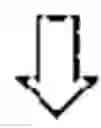 Fig. 02 - High osteocalcin microcrystalline hydroxyapatite for calcium supplement