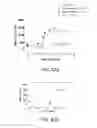 Fig. 29 - Unit dose formulation of antidotes for factor Xa inhibitors and methods of using the same