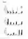 Fig. 09 - DNA vaccines encoding heat shock proteins