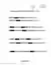 Fig. 21 - Cells for immunotherapy engineered for targeting CD38 antigen and for CD38 gene inactivation