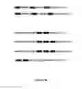 Fig. 22 - Cells for immunotherapy engineered for targeting CD38 antigen and for CD38 gene inactivation