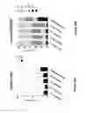 Fig. 32 - Cells for immunotherapy engineered for targeting CD38 antigen and for CD38 gene inactivation