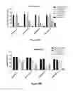 Fig. 33 - Cells for immunotherapy engineered for targeting CD38 antigen and for CD38 gene inactivation