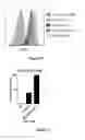 Fig. 34 - Cells for immunotherapy engineered for targeting CD38 antigen and for CD38 gene inactivation