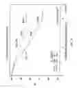 Fig. 09 - HERCEPTIN® ADJUVANT THERAPY