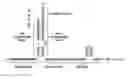 Fig. 01 - CRISPR/CAS-RELATED METHODS AND COMPOSITIONS FOR TREATING HEPATITIS B VIRUS