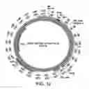 Fig. 33 - CRISPR/CAS-RELATED METHODS AND COMPOSITIONS FOR TREATING HEPATITIS B VIRUS