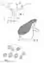 Fig. 02 - Systems for and methods for using biomimetic structures providing communication in living tissue