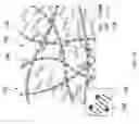 Fig. 02 - INTERPENETRATING POLYMER NETWORKS