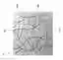 Fig. 04 - INTERPENETRATING POLYMER NETWORKS
