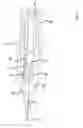 Fig. 07 - Needle module for a drive-controlled apparatus for repeatedly piercing human or animal skin, and handheld unit