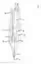 Fig. 08 - Needle module for a drive-controlled apparatus for repeatedly piercing human or animal skin, and handheld unit