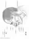 Fig. 08 - Elbow assembly