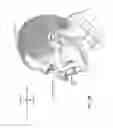 Fig. 09 - Elbow assembly