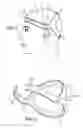 Fig. 02 - METHODS AND SYSTEMS FOR ACOUSTIC STIMULATION OF BRAIN WAVES