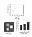 Fig. 09 - Methods and systems for image-guided radiation therapy