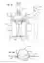 Fig. 02 - Acrobatic training apparatus