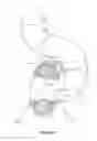 Fig. 12 - APPARATUS FOR LAUNCHING A BALL