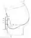 Fig. 01 - Groin area shield