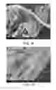 Fig. 35 - PROCESSING BIOMASS