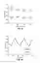 Fig. 10 - Optical cavity PCR