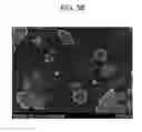 Fig. 04 - METHOD OF PRODUCING PLATE-SHAPED SILVER NANOPARTICLES