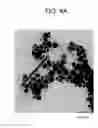 Fig. 07 - METHOD OF PRODUCING PLATE-SHAPED SILVER NANOPARTICLES