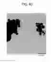 Fig. 09 - METHOD OF PRODUCING PLATE-SHAPED SILVER NANOPARTICLES