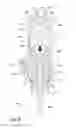 Fig. 07 - Powered fastener driving tool having fuel/gas mixture compressed ignition