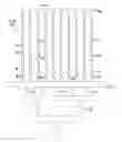 Fig. 01 - INJECTION MOLDING METHOD USING PEEK MATERIAL AND MOLDED ITEM