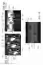 Fig. 06 - Reinforced coreless tube extrusion systems and methods