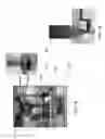 Fig. 02 - Extrudable magnetic ink and novel 3D printing method to fabricate bonded magnets of complex shape