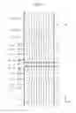 Fig. 08 - Test pattern creation method, test pattern, printing system, and program